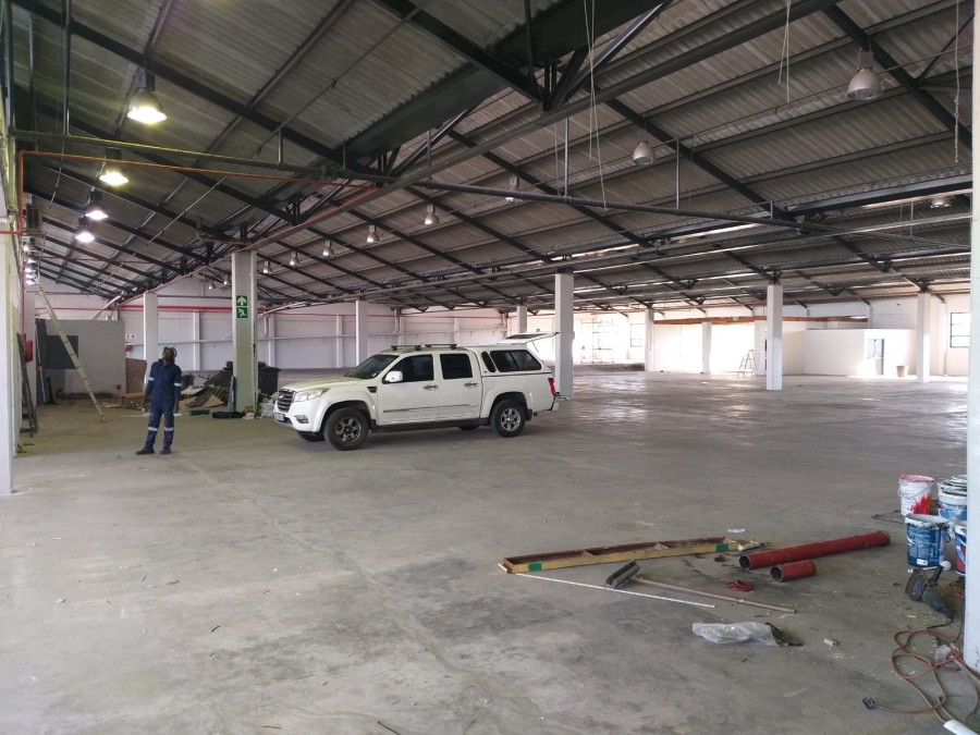 To Let Commercial Property for Rent in Paarden Eiland Western Cape